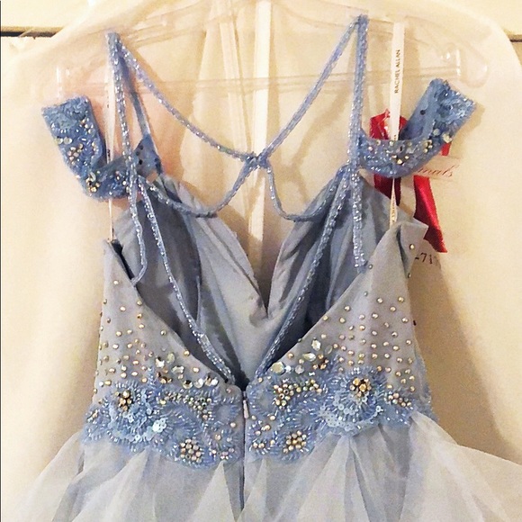 Rachel Allan 6605 dress! - Picture 5 of 11